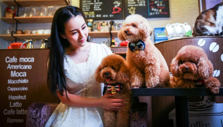 20251127100218-6021-4